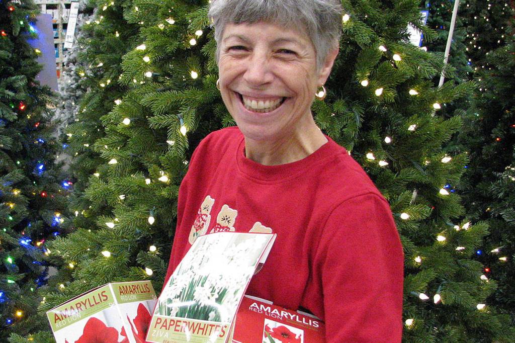 Get help picking your holiday plants