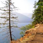 Spruce Production Division talk in honor of World War I centennial