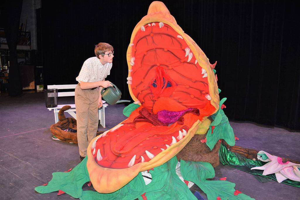 Port Angeles High School presents ‘Little Shop of Horrors’