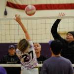 SHS seniors, staff volley for fundraiser