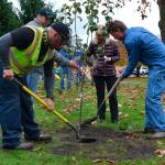 City plants tree to remember former employee
