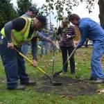 Steve DeAlba, Ty Brown and Gary Butler finish planting an apple tree in honor of Patti Brandts husband Mike, who retired from the City of Sequim a few years ago and passed away in September. City staff honored Brandt as part of the citys Arbor Day celebration. Sequim Gazette photo by Matthew Nash