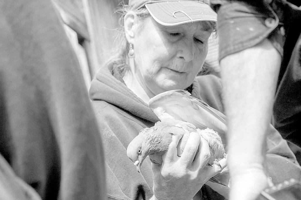 Raptor Center to close, eventually: After career of rescuing animals, Jaye Moore slowing down