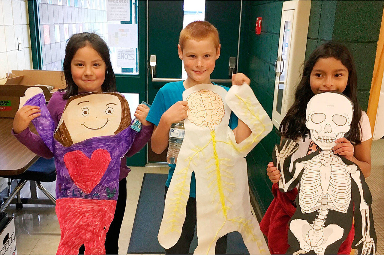 Third-graders at Helen Haller Elementary Schoo learn about the human body and the different body systems. They include: top photo, from left, Angie Torres, Arvids Prorok and Emrivilet Samudio; bottom left, Luca Bellacicco; bottom center, Madison Edwards and Alayna Marazon, and, at bottom right, Russell Thomas. Submitted photo