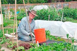 Registration now open for 2019 Master Gardener training
