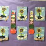 Students in Vanessa Rayburns kindergarten class at Helen Haller Elementary compare the life cycle of pumpkins and sunflowers. Submitted photo