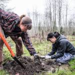Improve river habitat with tree-planting trip