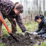 Improve river habitat with tree-planting trip