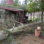 A tree branch fell within a few feet of smashing on a home on the 200 block of Secor Road on Dec. 14. No one was home during the storm, but the tree did severely damage the porch and some of the roof. Sequim Gazette photo by Matthew Nash