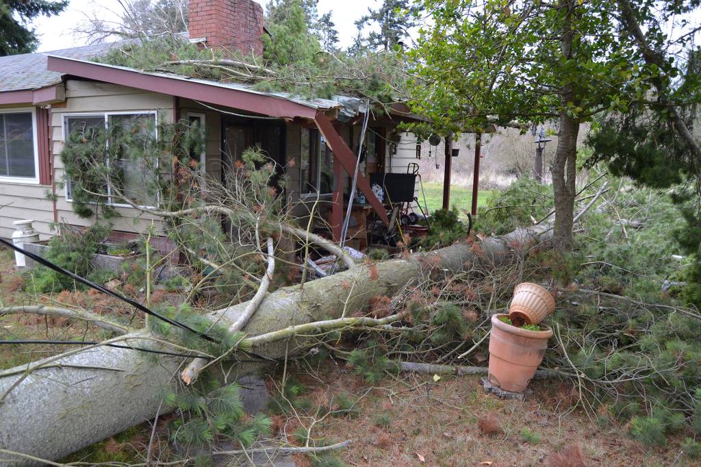 A tree branch fell within a few feet of smashing on a home on the 200 block of Secor Road on Dec. 14. No one was home during the storm, but the tree did severely damage the porch and some of the roof. Sequim Gazette photo by Matthew Nash