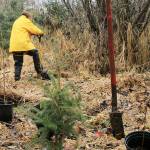 Help restore salmon habitat near Salmon Creek