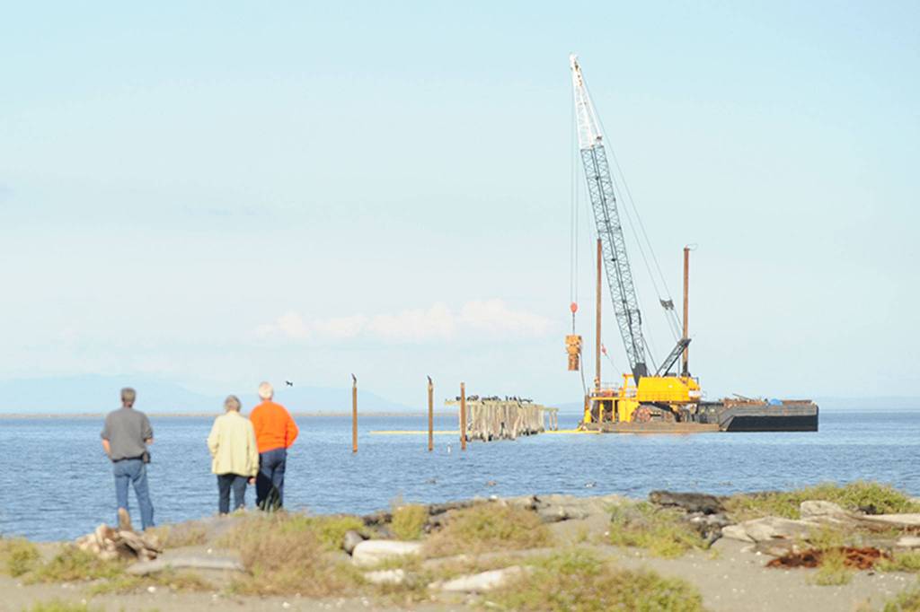 Nearby residents of Three Crabs Road and passerby watch as pilings are removed from the old Dungeness wharf in October. Sequim Gazette file photo by Erin Hawkins