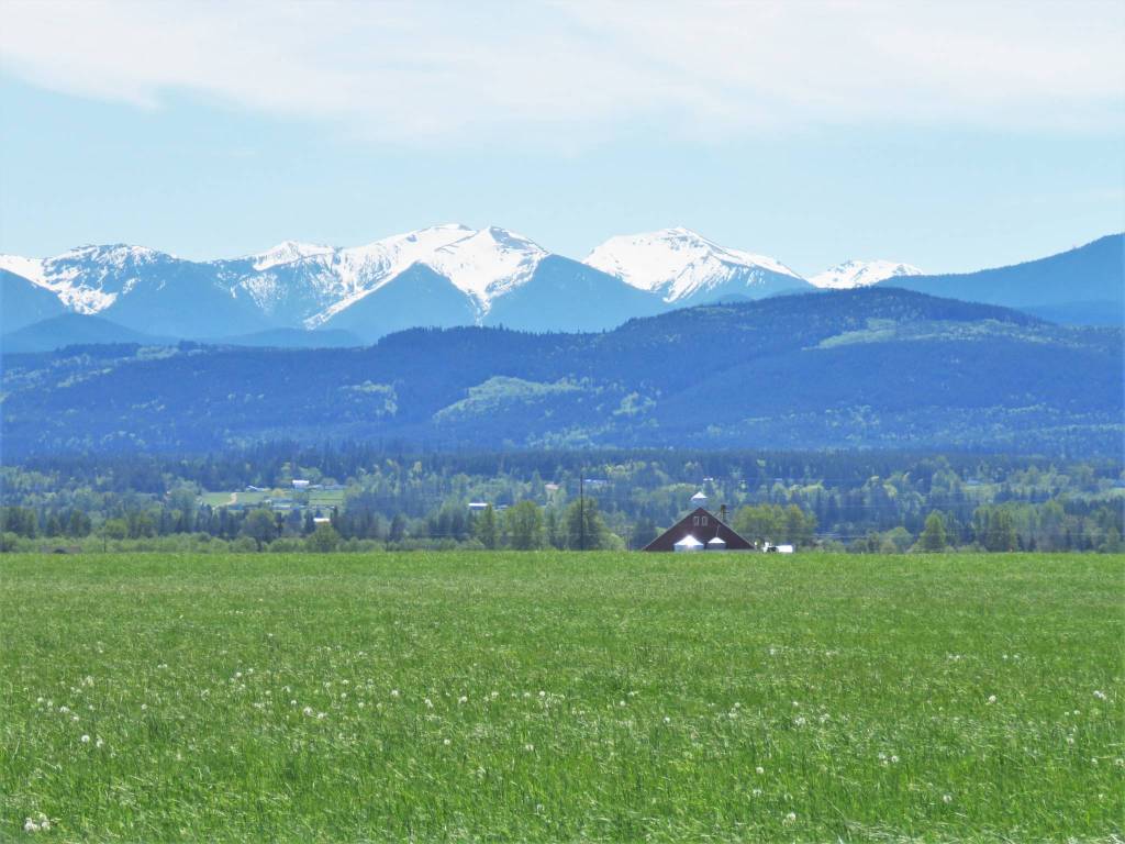 British Columbia wildfires  more than 400 of them  douse the Olympic Peninsula in smoke in August, seen here at the west end of Woodcock Road. Photos by Joan Hermanson