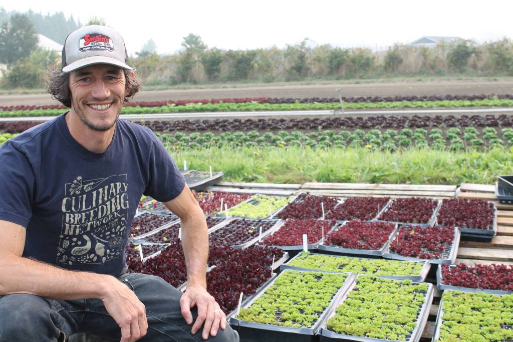SHS grad Scott Chichester was selected North Olympic Land Trusts Farmer of the Year in September. Photo by Alana Linderoth/North Olympic Land Trust