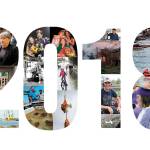2018: A Year in Review