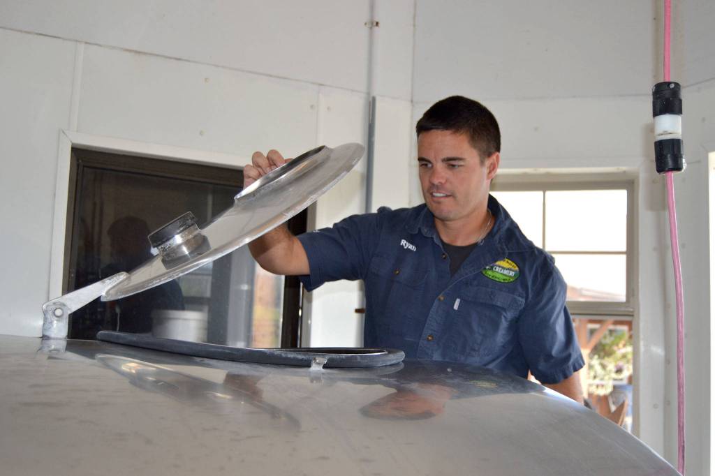 Ryan McCarthey, co-owner of Dungeness Valley Creamery, readies a batch of raw milk for distribution. Production never ceased at the dairy after state officials in September said two people became ill from E. coli after they allegedly drank raw milk from the farm. Tests did not find E. coli in random samplings from products at stores or the farm. Sequim Gazette photo by Matthew Nash