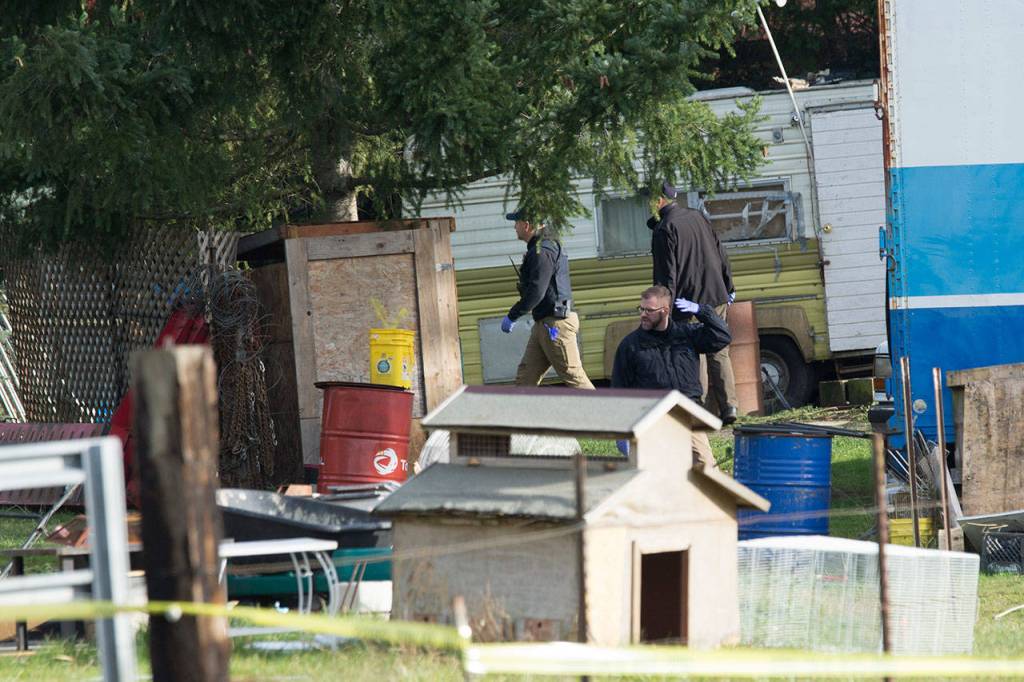 Investigators search a property on Bear Meadow Road where three bodies have been found. (Jesse Major/Peninsula Daily News)