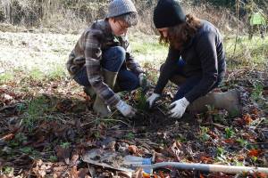 Volunteers needed to help plant native trees along Siebert Creek