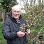 Learn about controlling pests in home orchards
