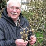 Learn about controlling pests in home orchards