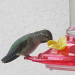 Weather — Jan. 30, 2019