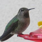 Weather — Jan. 30, 2019