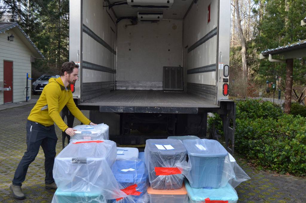 A freezer truck sits outside the Dungeness River Audubon Center on Jan. 24 where Executive Director Powell Jones readies bins with dozens of taxidermy animals for freezing. He said the best way to ensure drugstore beetles dont spread across the centers collection is to freeze them for 48 hours at 18 degrees or below. Sequim Gazette photos by Matthew Nash