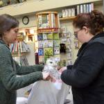 Audubon Center freezes taxidermy exhibits to stop beetle infestation