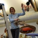 Above: Jenna Ziogas, education coordinator for the Dungeness River Audubon Center, readies an owl for packing on Jan. 24, to freeze to prevent the spreading of drugstore beetles in the center. Right: All of the Dungeness River Audubon Centers exhibits remain in storage on Jan. 28 after being frozen for 48 hours over the weekend to prevent the spread of drugstore beetles in the center. Theyll tentatively go back in the center sometime after Feb. 4. Sequim Gazette photos by Matthew Nash