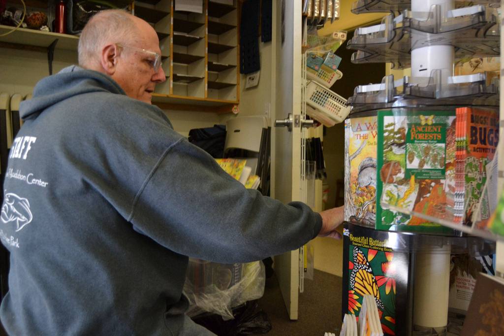 Roger Magee, visitor services staffer for the Dungeness River Audubon Center, restocks books after helping clean the center following a scare of beetles potentially spreading and eating the buildings animal exhibits. Sequim Gazette photo by Matthew Nash