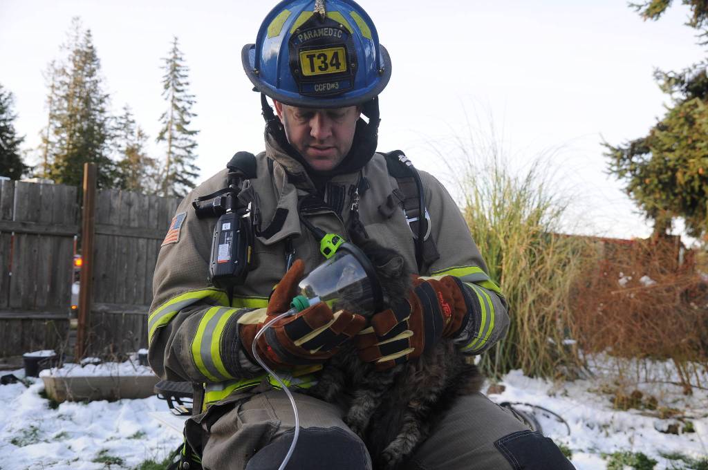Joel Bower, Clallam County Fire District 3 firefighter/paramedic, tends to Cleopatra, a cat found inside a residence near Carlsborg damaged by an early morning fire Thursday, Feb. 7. Sequim Gazette photo by Michael Dashiell