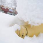 Winter weather cancels/postpones Sequim events