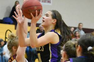 Girls basketball: Wolves battle, bring home state berth