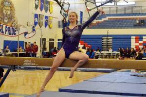 Gymnastics: Trio of Wolves advance to state finals