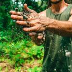 Olympic Peninsula libraries to host composter, recycler workshops