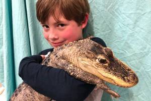@SequimSchools — Feb. 20, 2019
