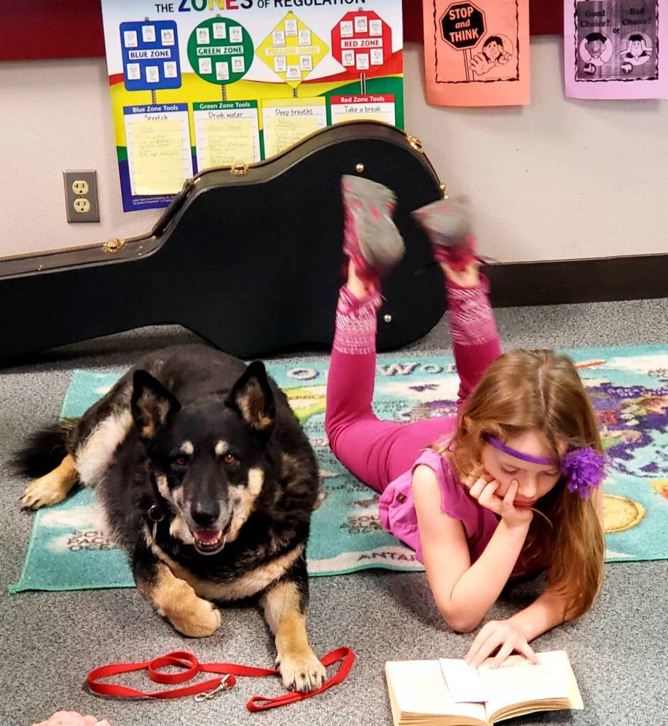 Greywolf Elementary volunteer Karen Faddis brings her service dog Ranger each Tuesday and Thursday for an hour to read with second-grade students in Chris Stevens class. Students look forward to reading with him. Pictured here is Ranger with student Gwyneth Voyles. Photo by Chris Stevens