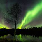 Aurora at Red Squirrel Pond in the Chena Rec Area in Alaska. Photo by Mary Campbell