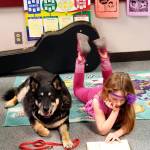 Greywolf Elementary volunteer Karen Faddis brings her service dog Ranger each Tuesday and Thursday for an hour to read with second-grade students in Chris Stevens class. Students look forward to reading with him. Pictured here is Ranger with student Gwyneth Voyles. Photo by Chris Stevens