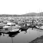 Wayne family gathers options for marina, nearby land