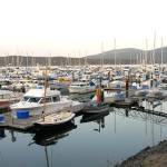 Wayne family gathers options for marina, nearby land