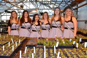 Royalty scholarship pageant resets for March 14