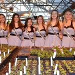 This years Sequim Irrigation Festival royalty candidates, from left, Erin Rosengren, Ana Benitez, Kjirstin Foresman, Emily Silva, Brianna Cowan and Shelby Wells find some warmth inside the Sequim High School greenhouses leading up to their March 14th Scholarship Pageant after snow postponed their show in February. Four of the girls will be chosen to represent Sequim for the next year. See A-4. Sequim Gazette photo by Matthew Nash