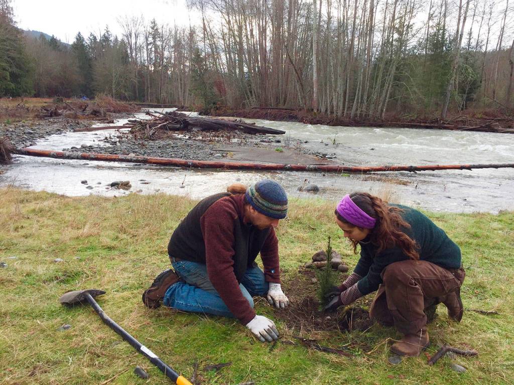 Tribe salmon coalition seek help with tree planting