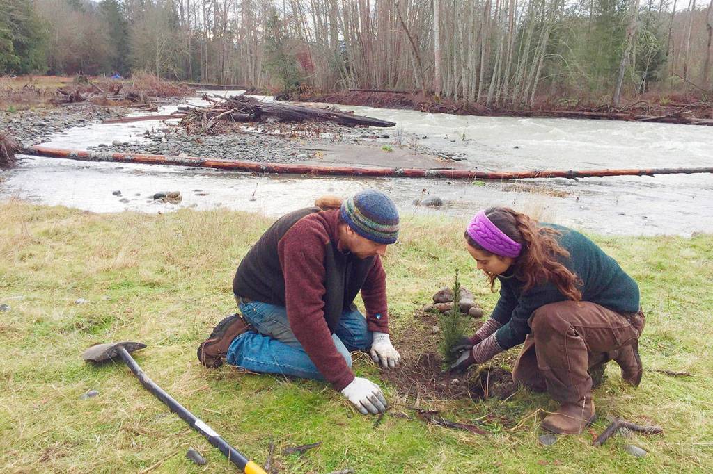 Tribe salmon coalition seek help with tree planting