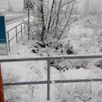 City looks to filter Bell Creek, prevent flooding on Seventh Avenue