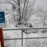 Sometime this year, staff with the City of Sequim plan to install new filters at catch basins along Brown Road to prevent sediment and oils from going into Bell Creek. Photo courtesy of the City of Sequim