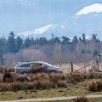 A vehicle makes its way through the Olympic Game Farm in Sequim on Monday. The game farm is the subject of a lawsuit that alleges it does not properly care for its animals. (Jesse Major/Peninsula Daily News)