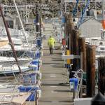 Port of Port Angeles to issue marina RFI despite Wayne family request