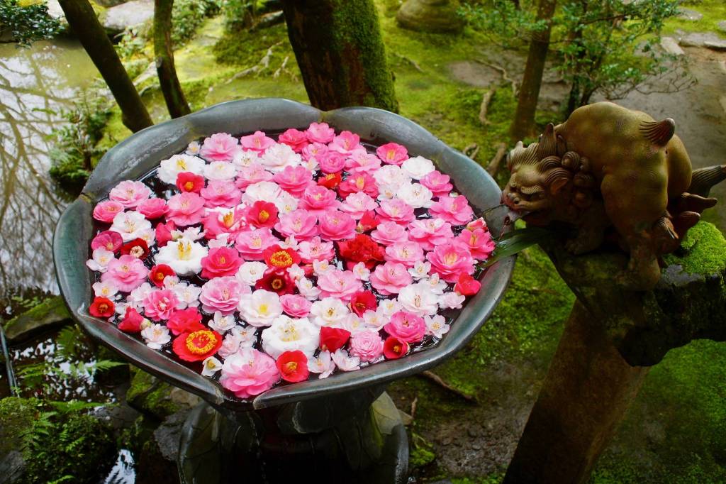 Honen-in Zen Temple. Photo courtesy of Wendy Feltham